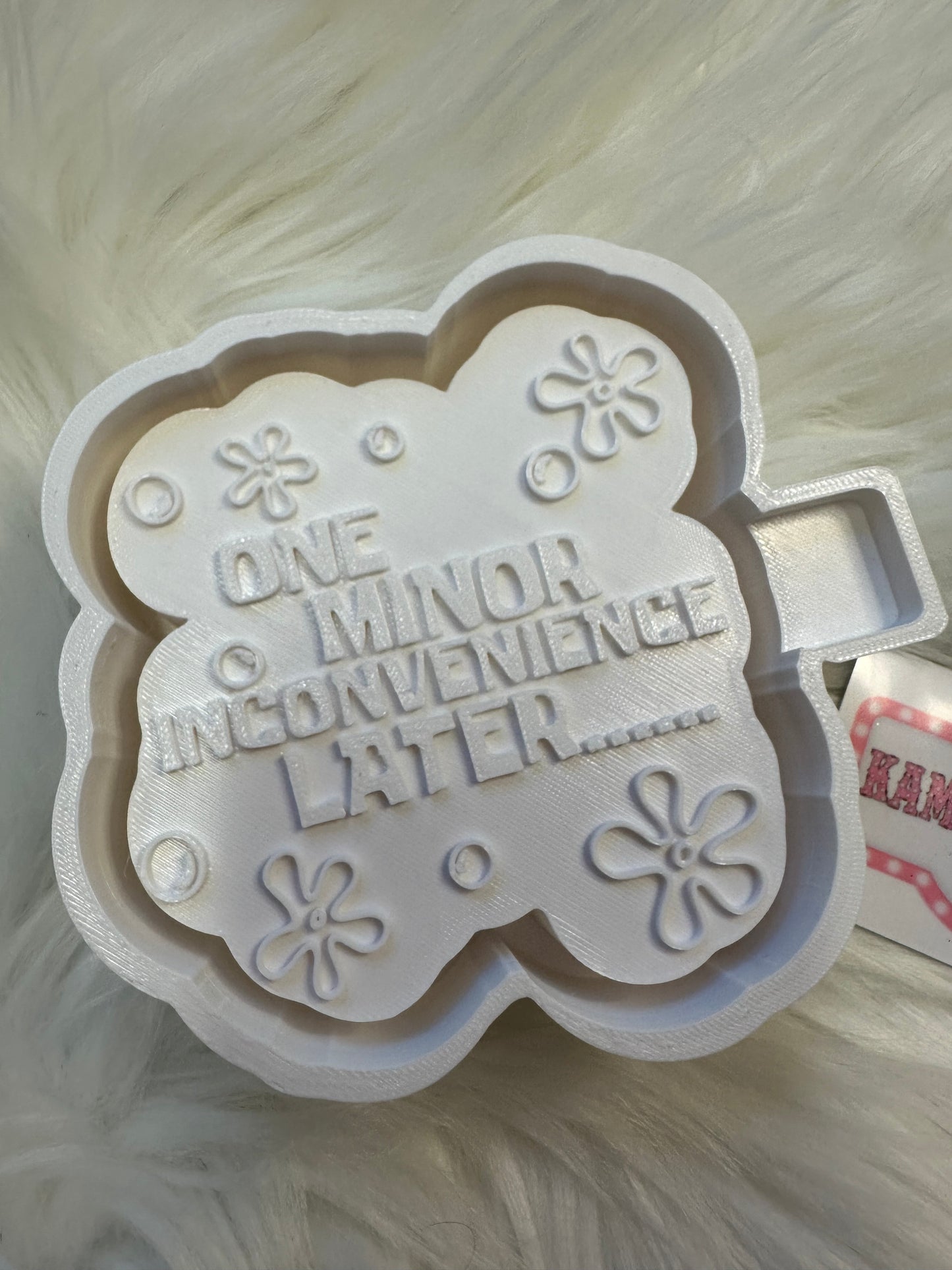 One minor inconvenience later full size freshie mold