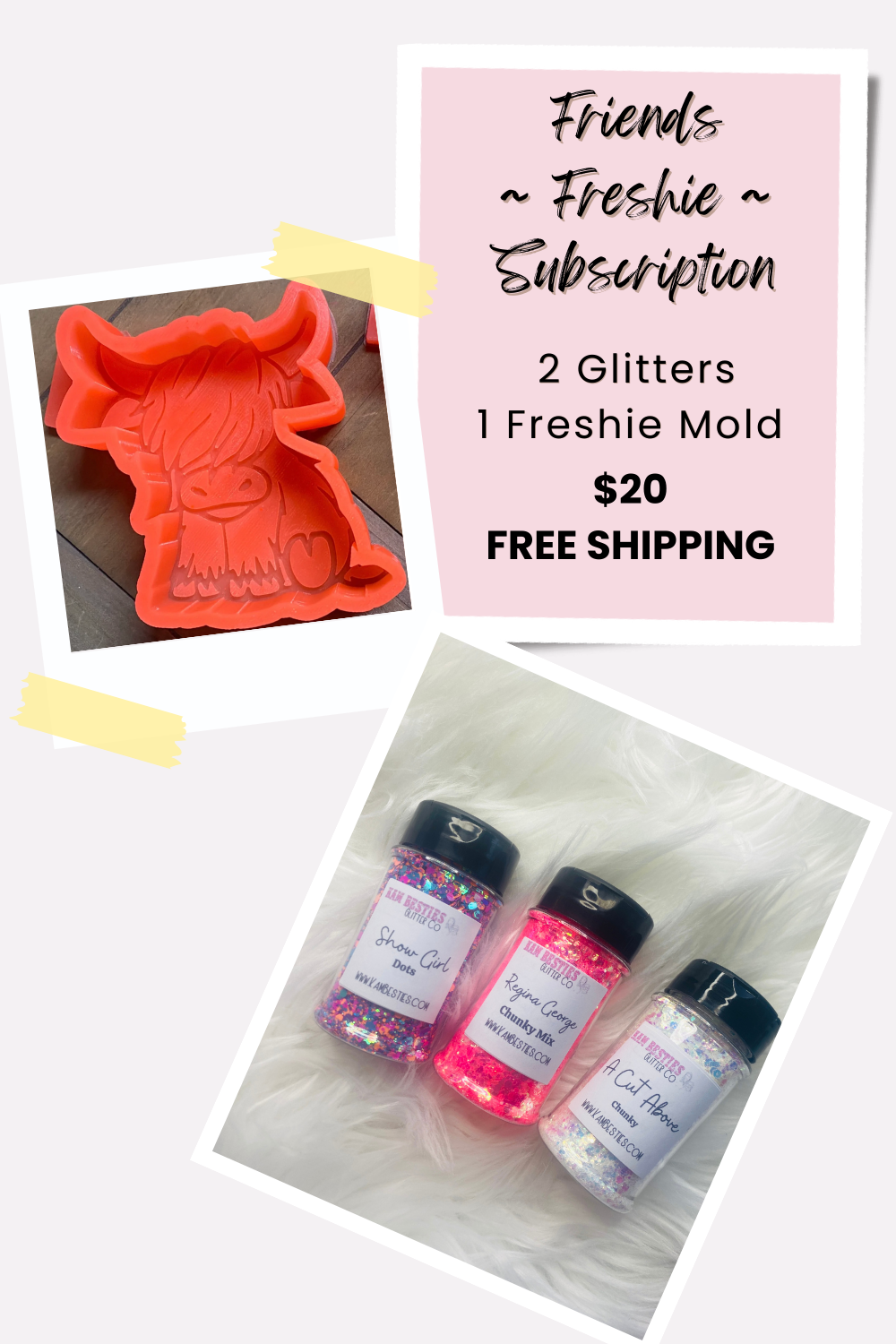 Friends Freshie Subscription box