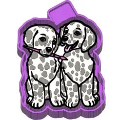 Dalmation puppies